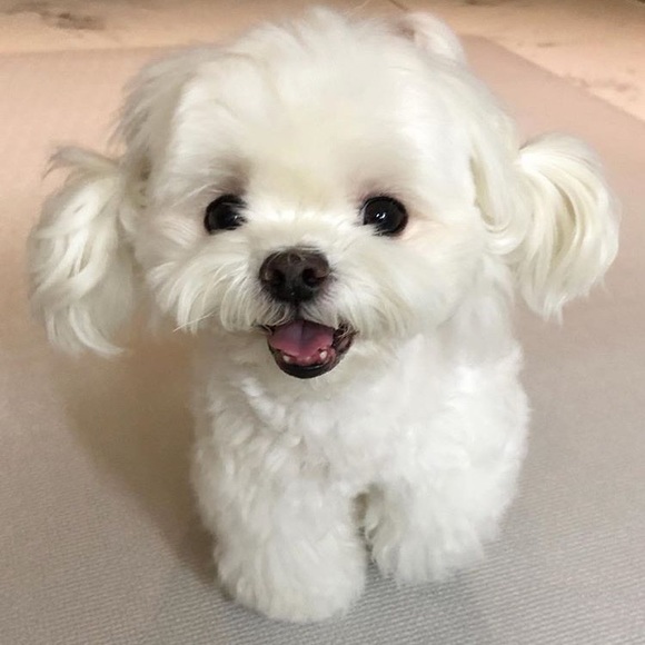 Meet your Posher, Maria - Picture 1 of 1